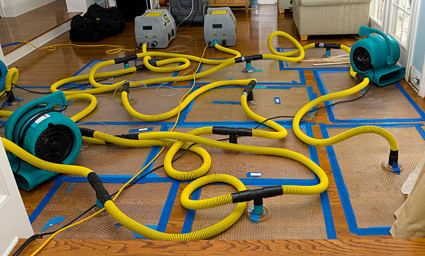 Professional Crawl Space Water Removal technician working in La Salle, MN